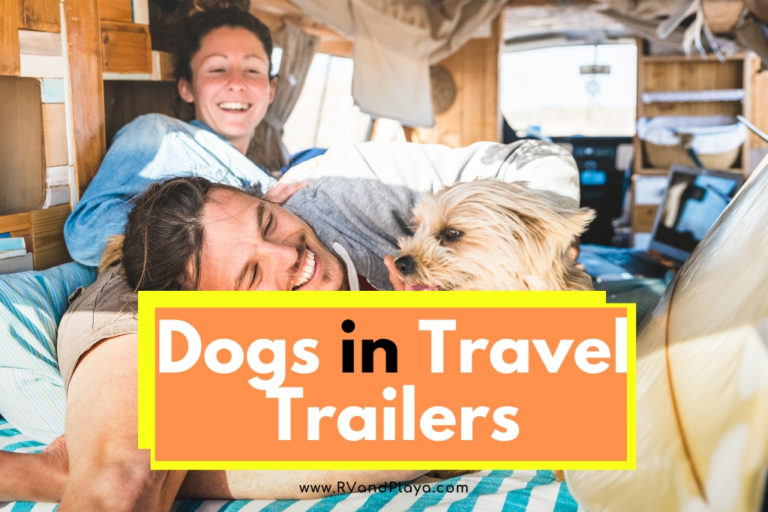 Dogs in Travel Trailers Here is What You Need to Know