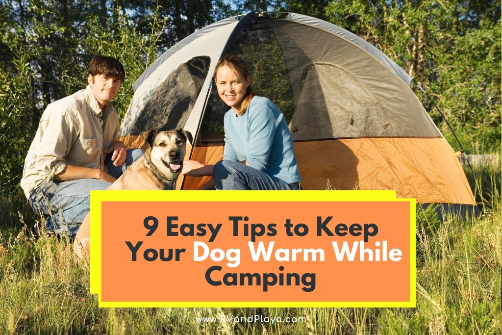 9 Easy Tips to Keep Your Dog Warm While Camping