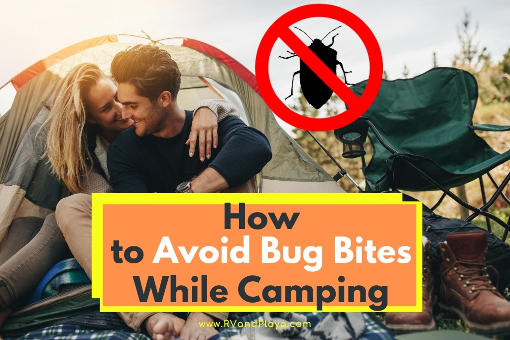 How-to-Avoid-Bug-Bites-While-Camping