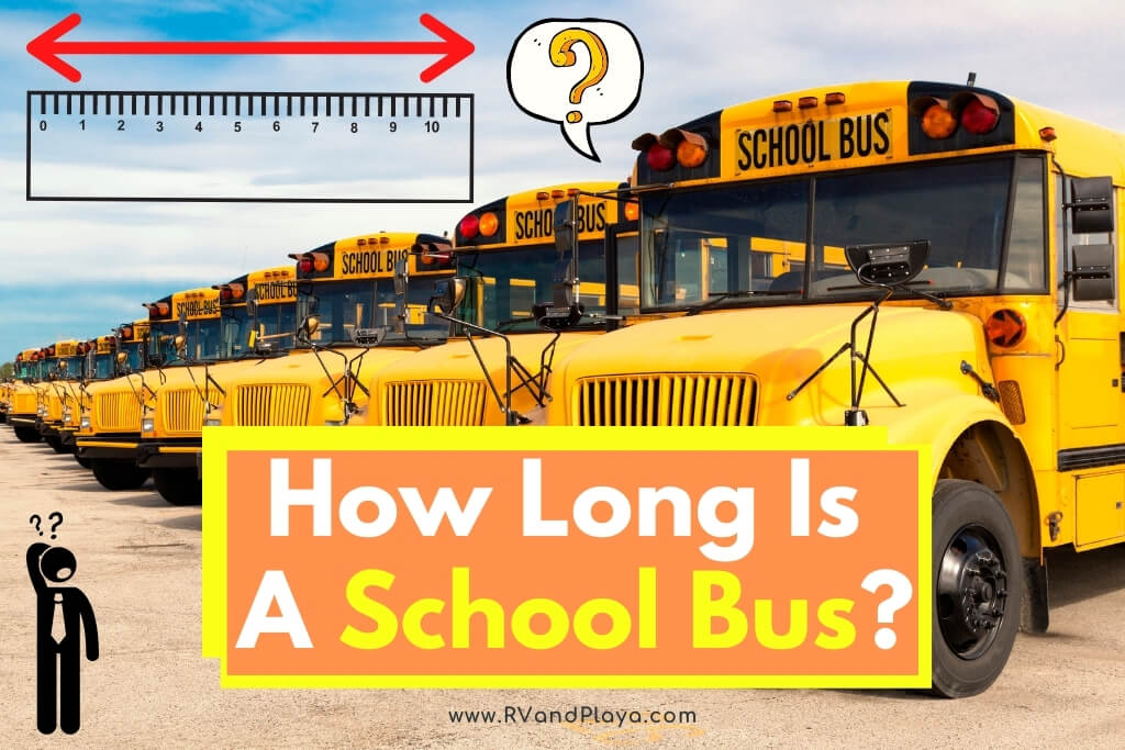 How-Long-Is-A-School-Bus