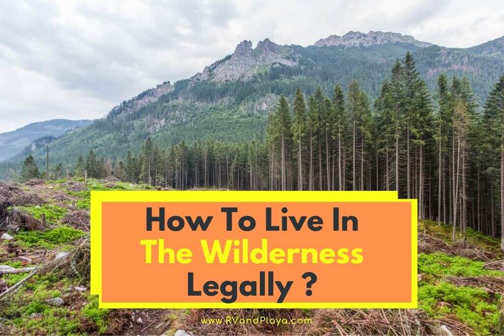 How to live in the wilderness legally