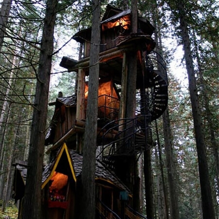 How To Live In The Wilderness Or Woods Legally 7 Facts Explained