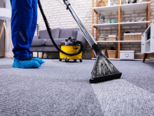 Where can I rent a carpet cleaner