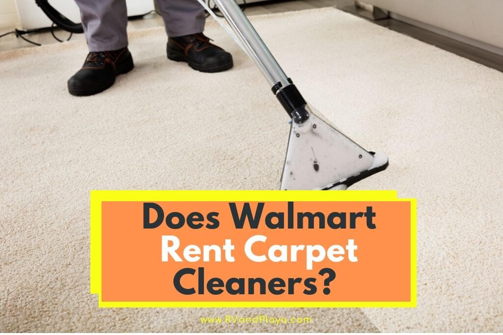 carpet-cleaner-rental-walmart-rug-doctor-rona