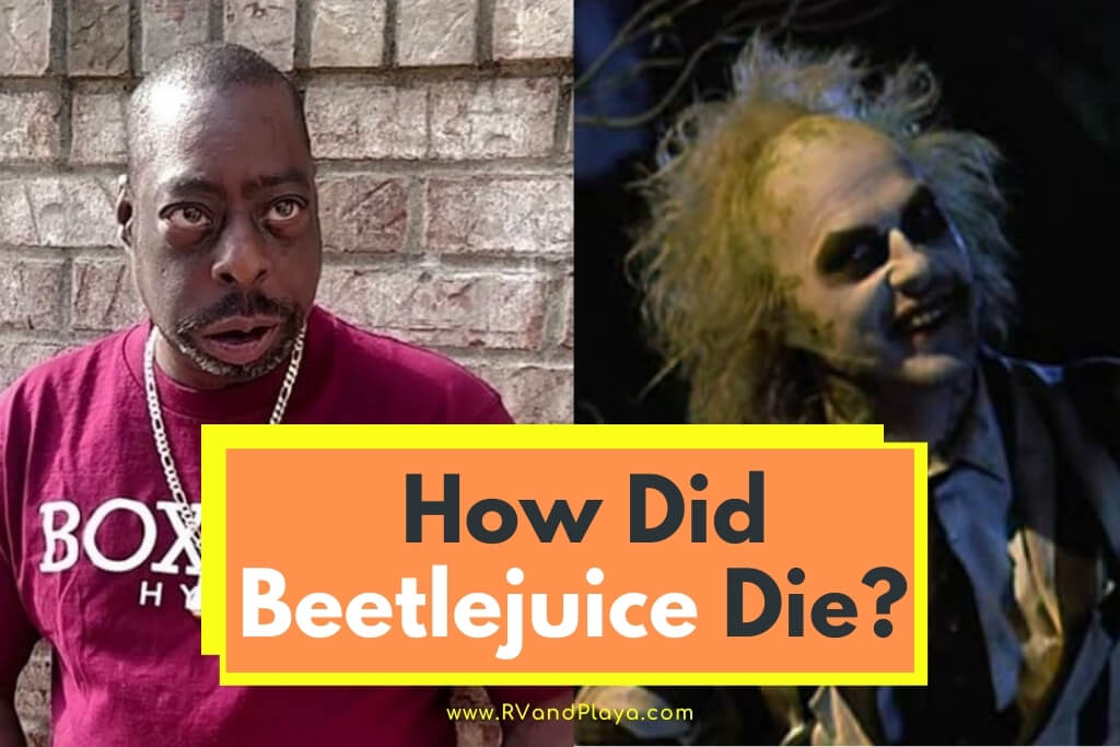 how-did-beetlejuice-die-movie-musical