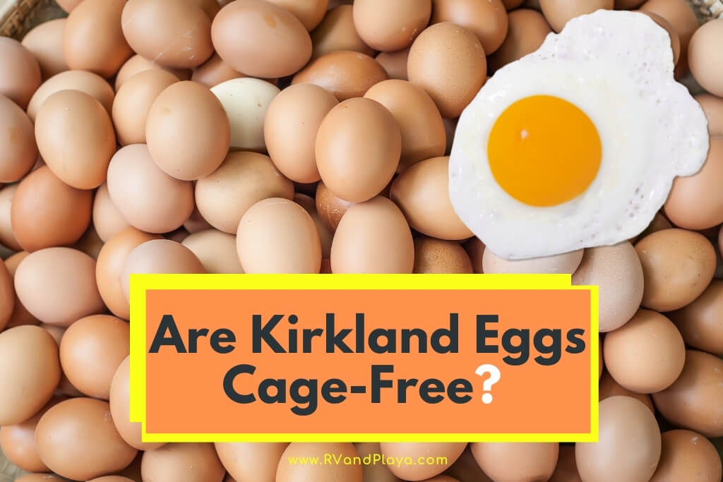 Are Kirkland Eggs Cage-Free