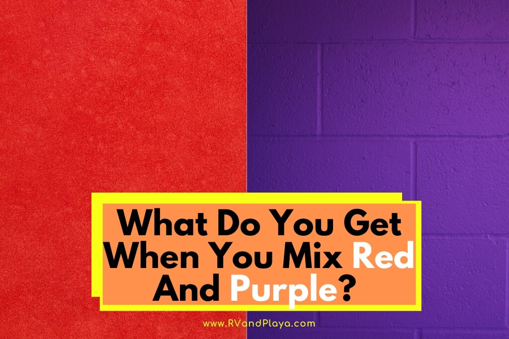 What Do You Get When You Mix Red And Purple