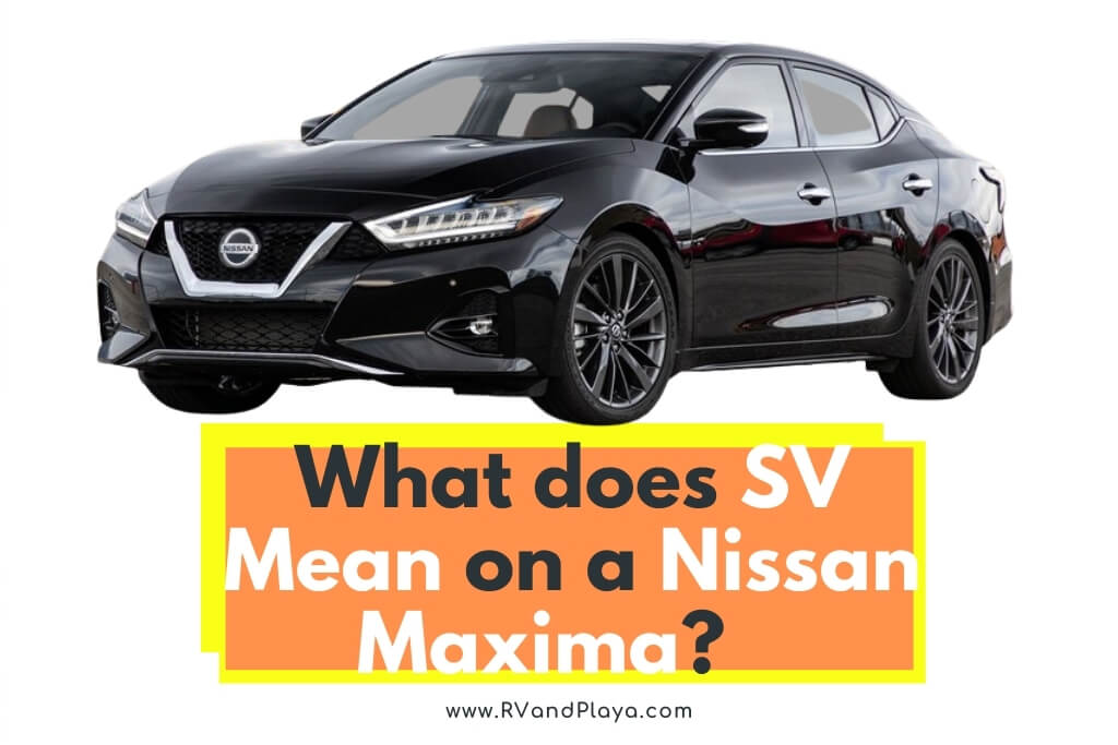 What does SV Mean on a Nissan Maxima