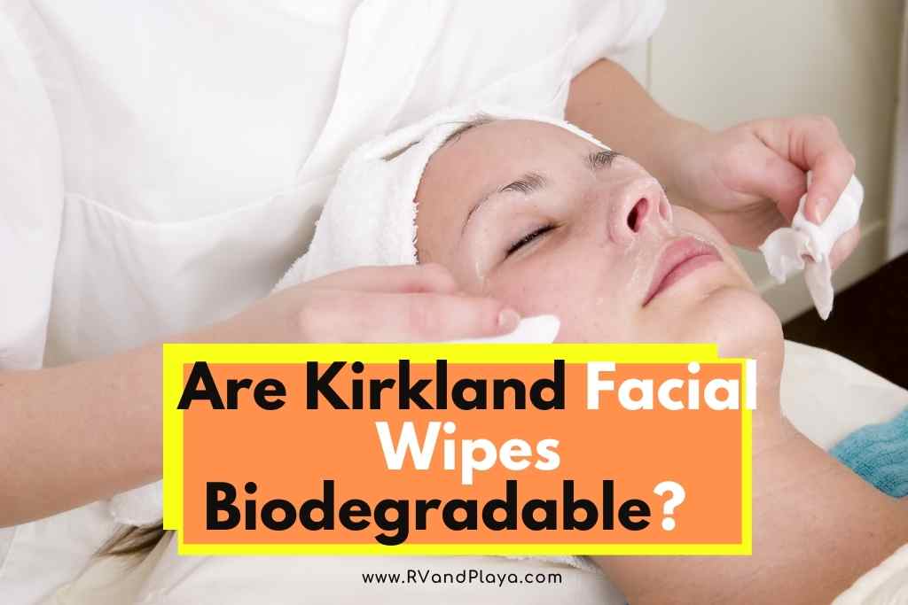 Are Kirkland Facial Wipes Biodegradable