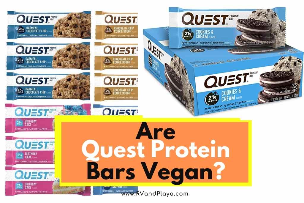 Are Quest Protein Bars Vegan