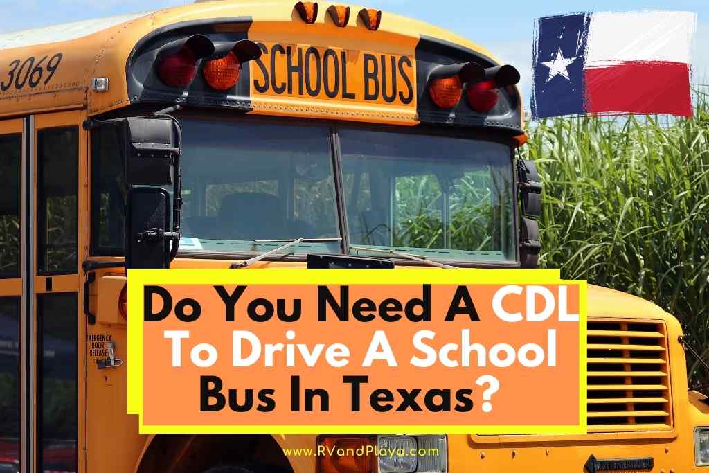 Do You Need A CDL To Drive A School Bus In Texas