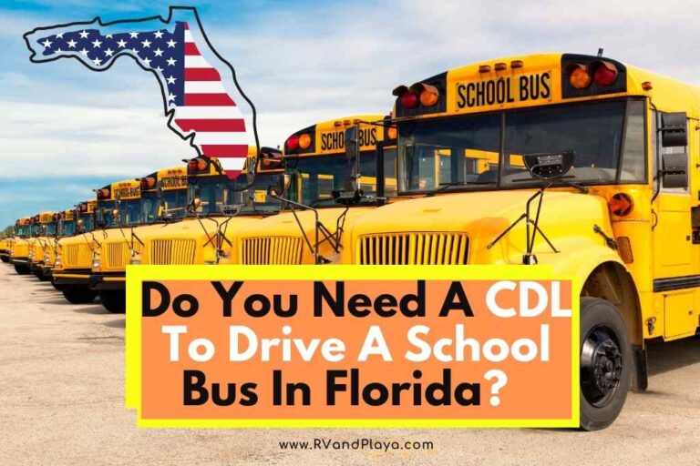 Do You Need A CDL To Drive A School Bus In Florida? (The Truth!)