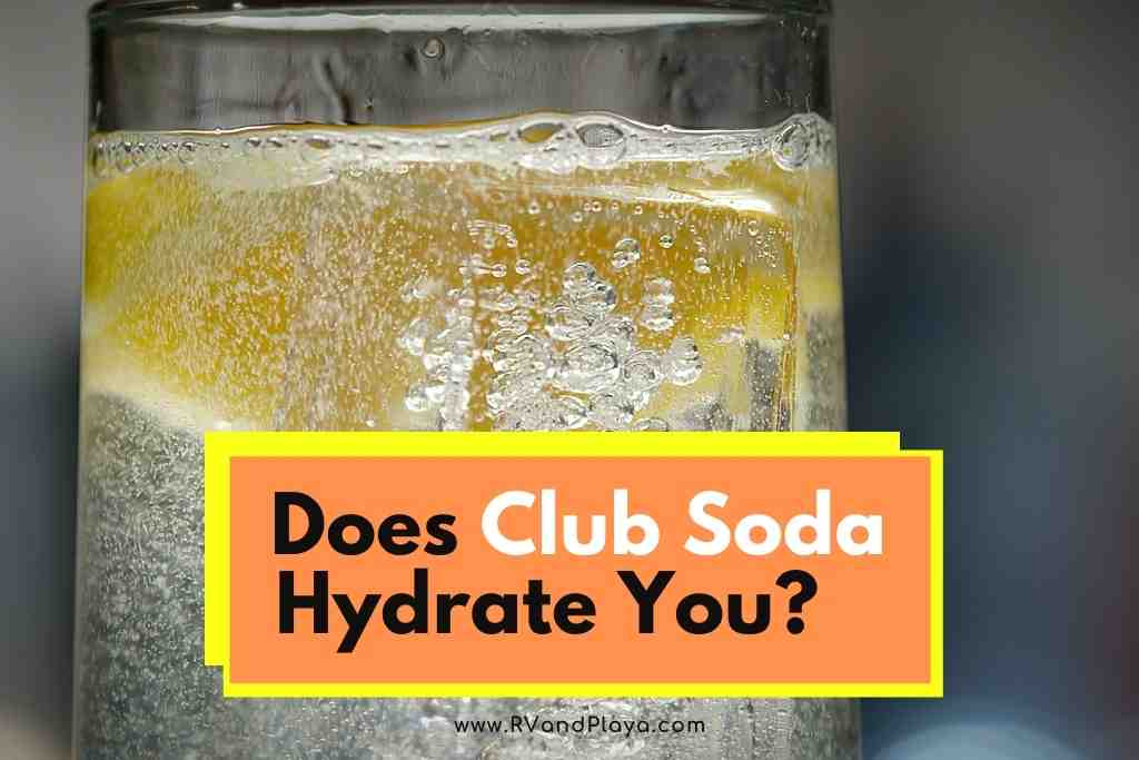 Does Club Soda Hydrate You