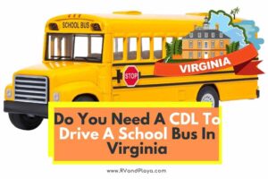 Do You Need A CDL To Drive A School Bus In Virginia? (Explained!)