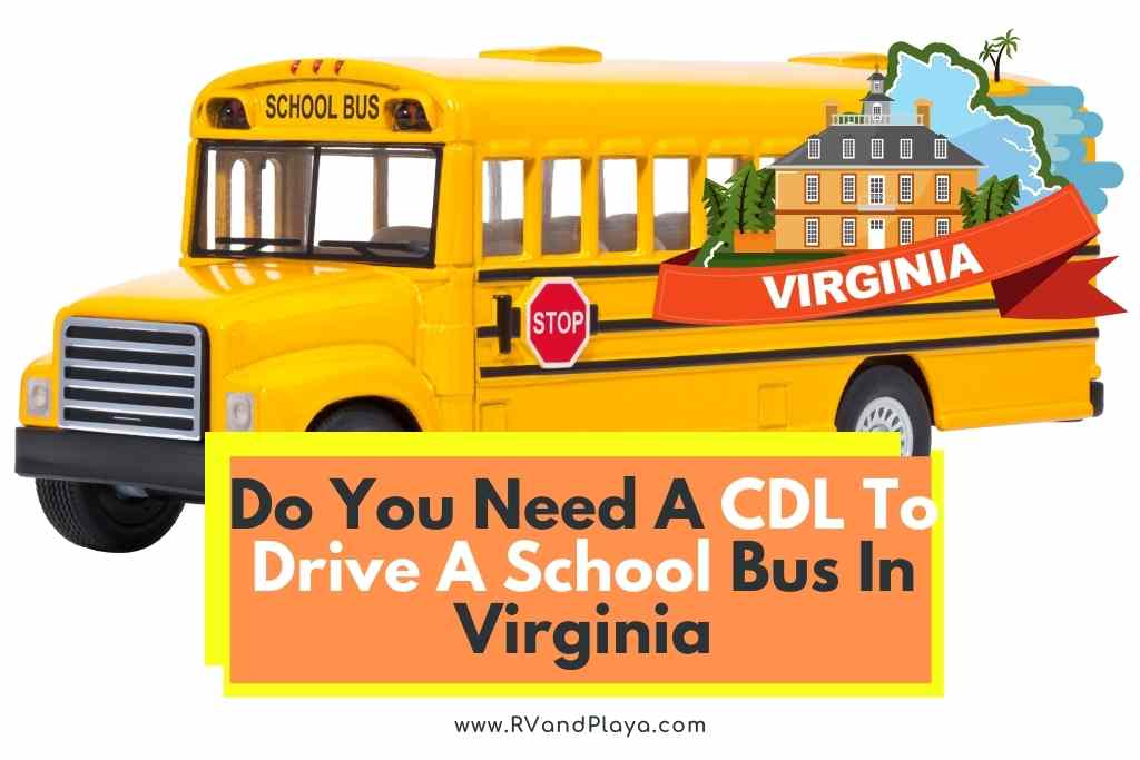 Do You Need A CDL To Drive A School Bus In Virginia