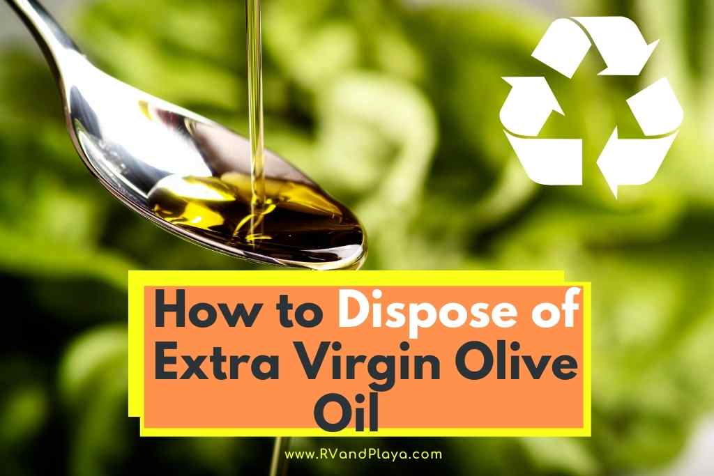 How to Dispose of Extra Virgin Olive Oil