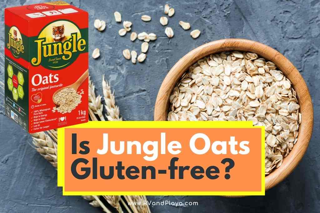 Is Jungle Oats Gluten-free