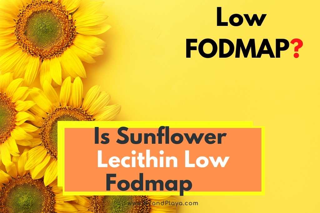 Is Sunflower Lecithin Low Fodmap