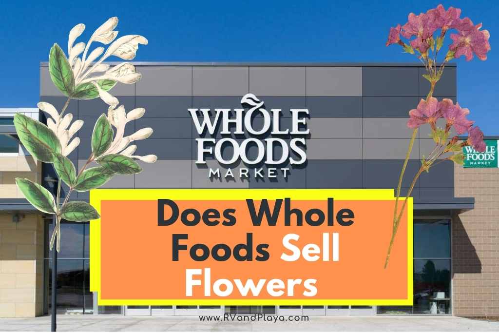 Does Whole Foods Sell Flowers
