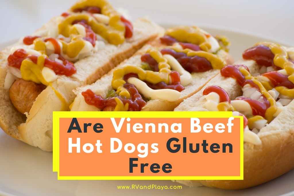 Are Vienna Beef Hot Dogs Gluten Free