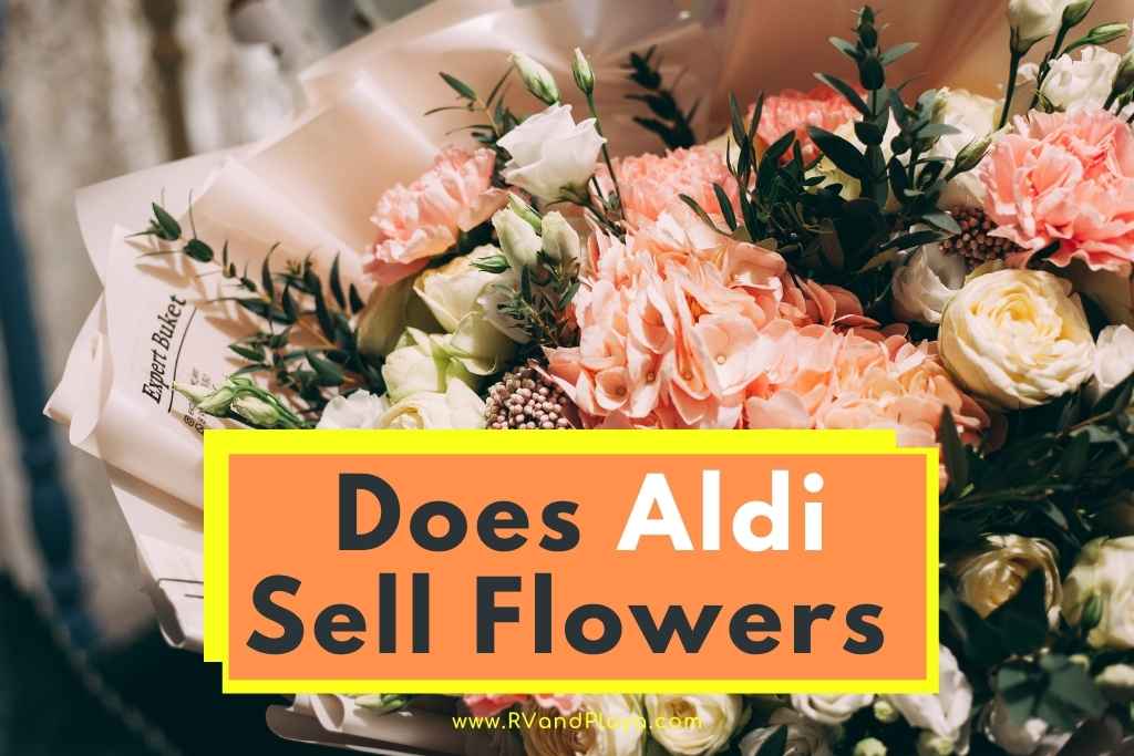 Does Aldi Sell Flowers