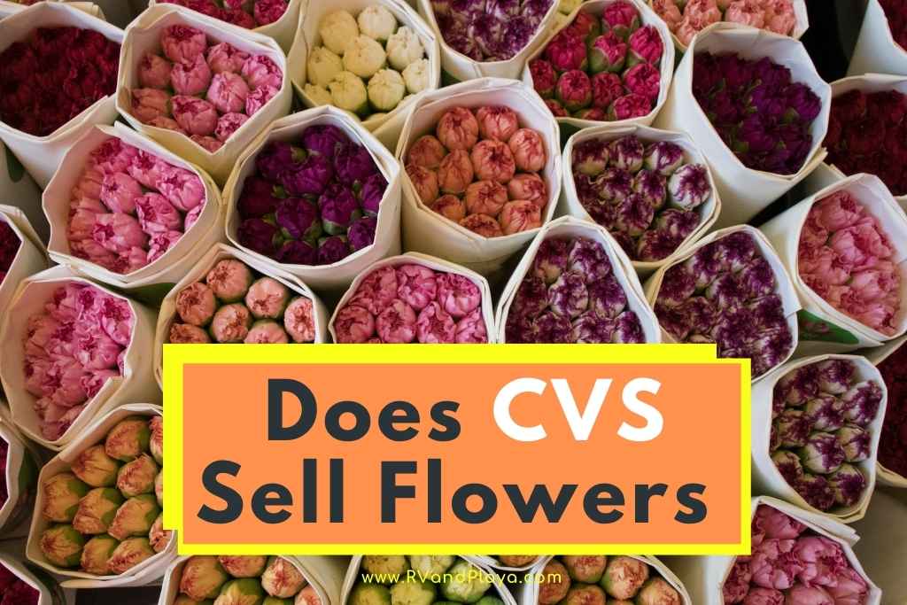 Does CVS Sell Flowers
