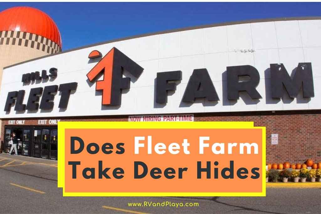 Does Fleet Farm Take Deer Hides