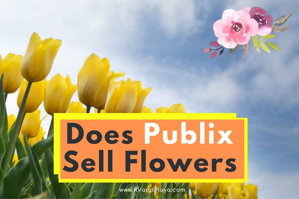 Does Publix Sell Flowers