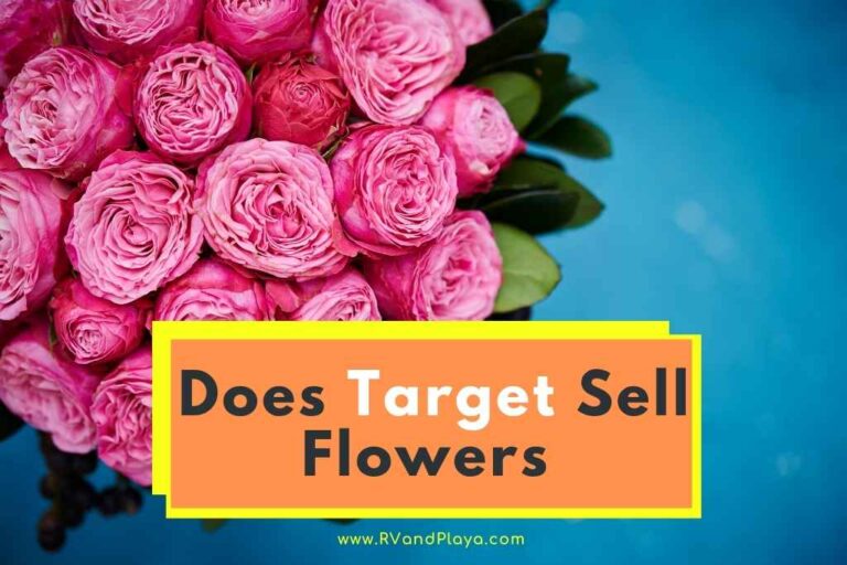 Does Target Sell Flowers? (Fresh, Fake, Artificial, Valentine’s Flowers)