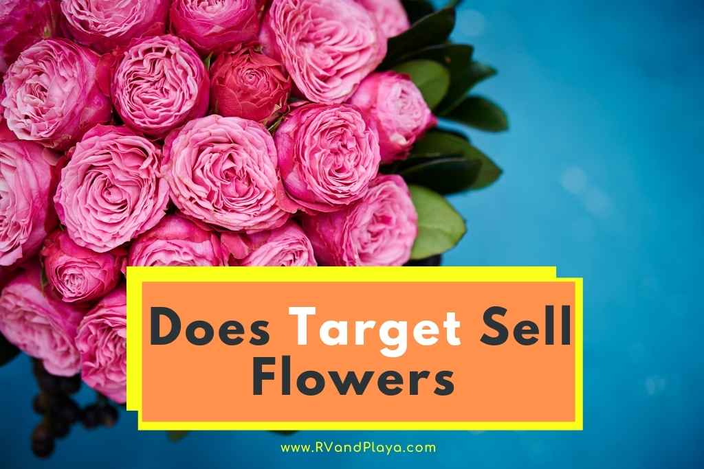 Does Target Sell Flowers