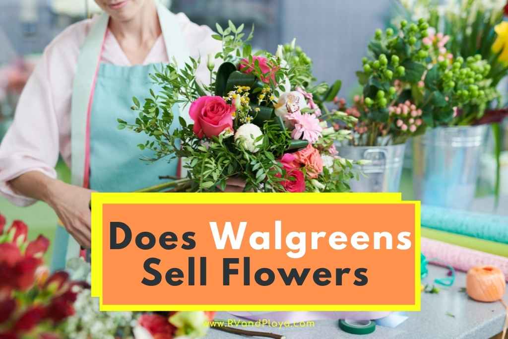 Does Walgreens Sell Flowers
