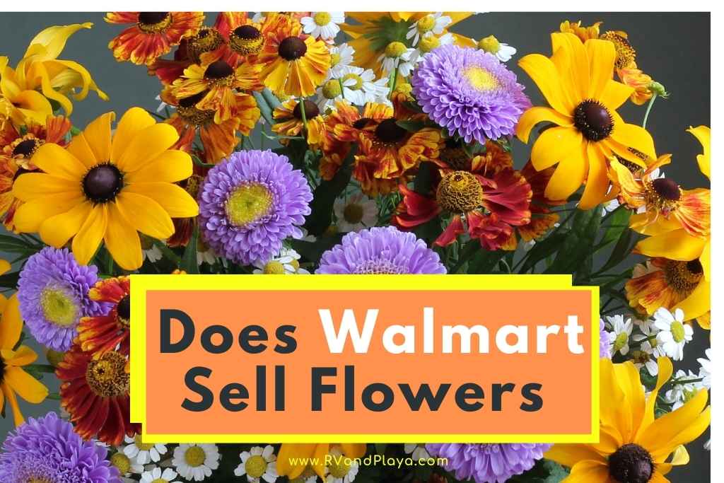 Does walmart Sell Flowers