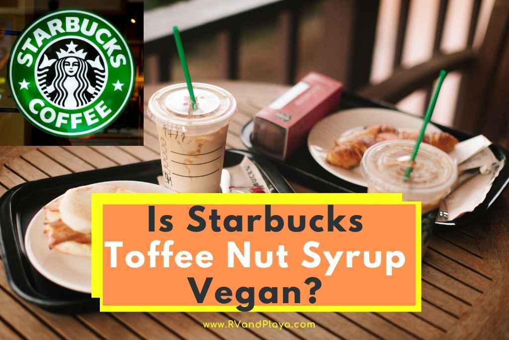 Is Starbucks Toffee Nut Syrup Vegan
