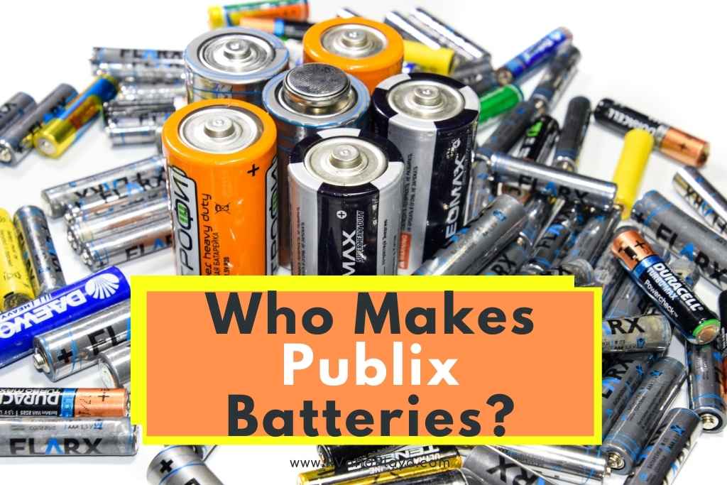 Who Makes Publix Batteries