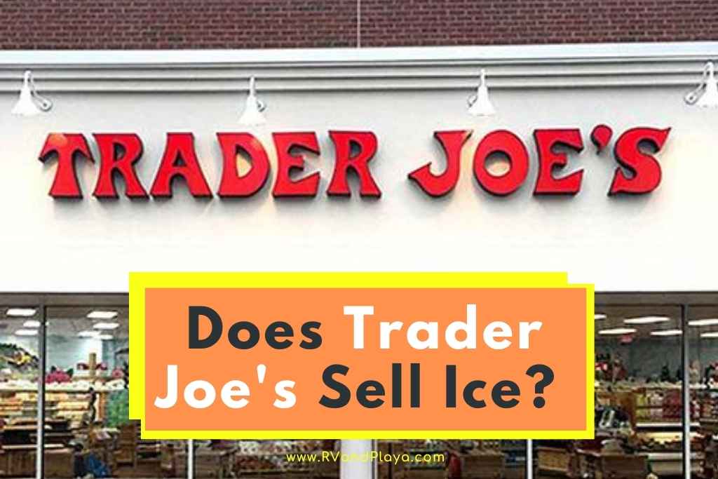 does trader joe's sell ice