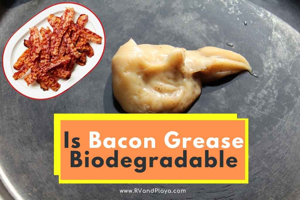 is bacon grease biodegradable