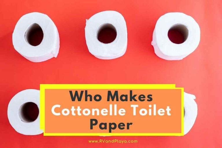 Who Makes Cottonelle Toilet Paper? (Secrets You Need To Know)