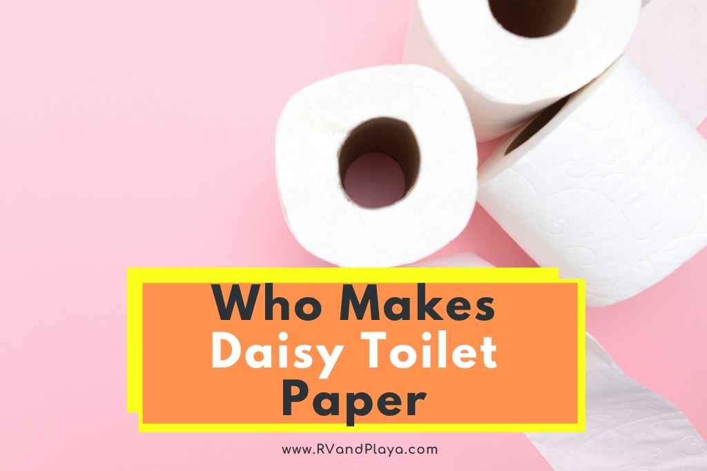 who makes daisy toilet paper