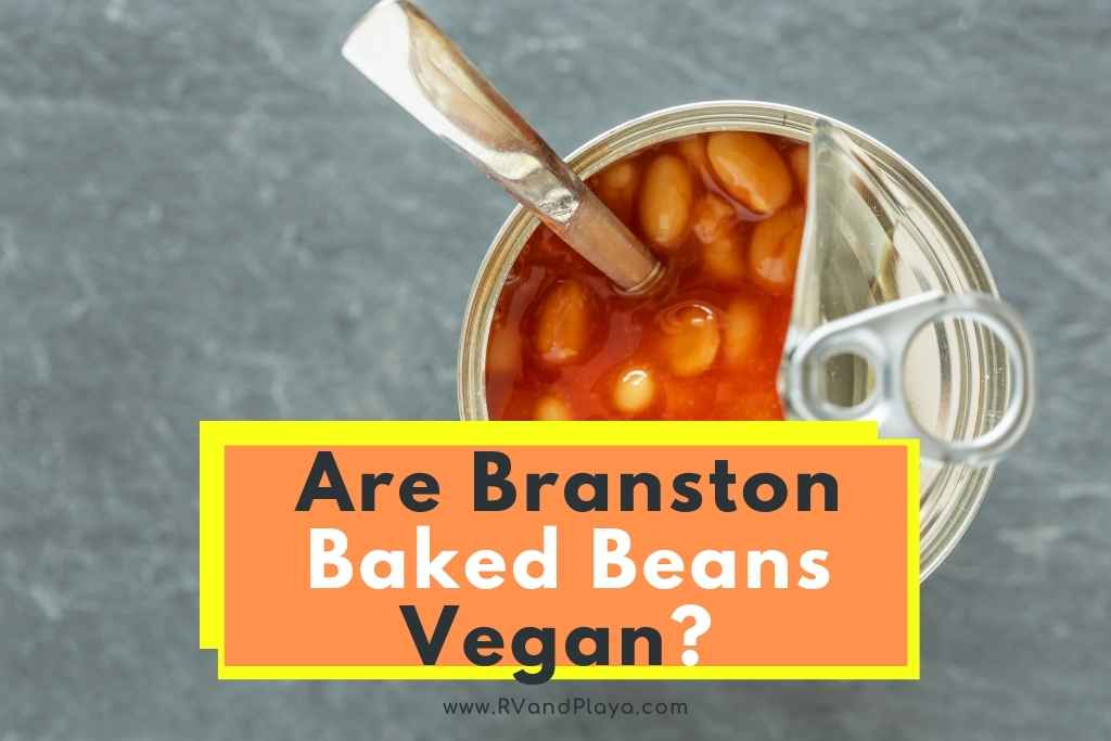 Are Branston Baked Beans Vegan