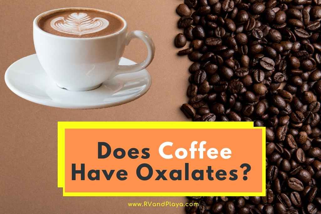 Does Coffee Have Oxalates