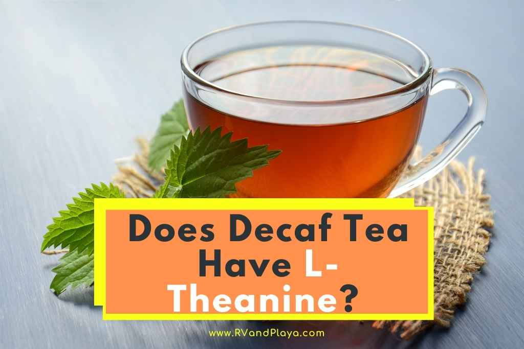 Does Decaf Tea Have L-Theanine