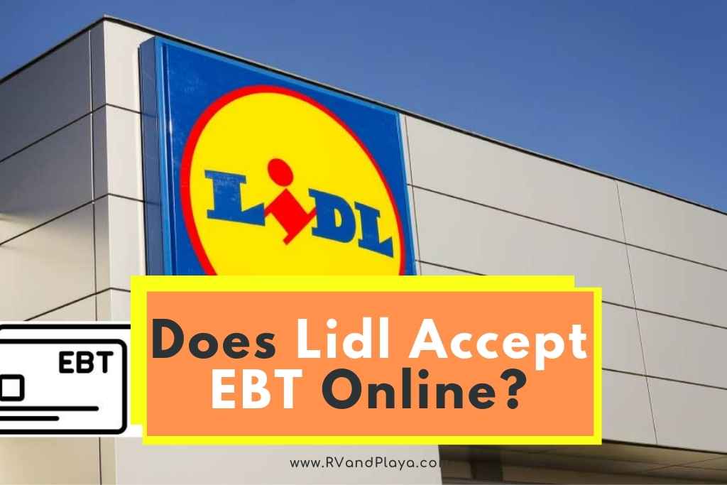 Does Lidl Accept EBT Online