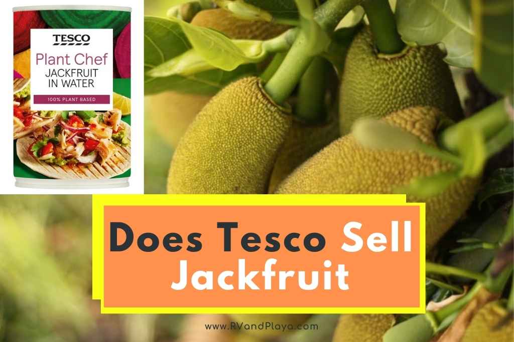 Does Tesco Sell Jackfruit