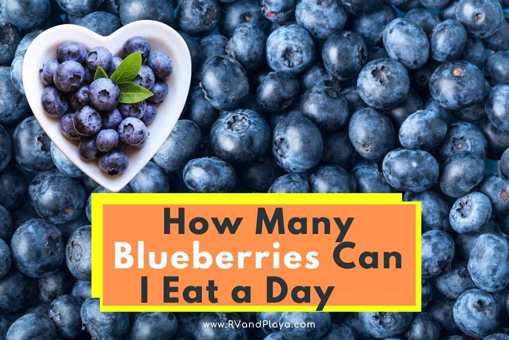 How Many Blueberries Can I Eat a Day