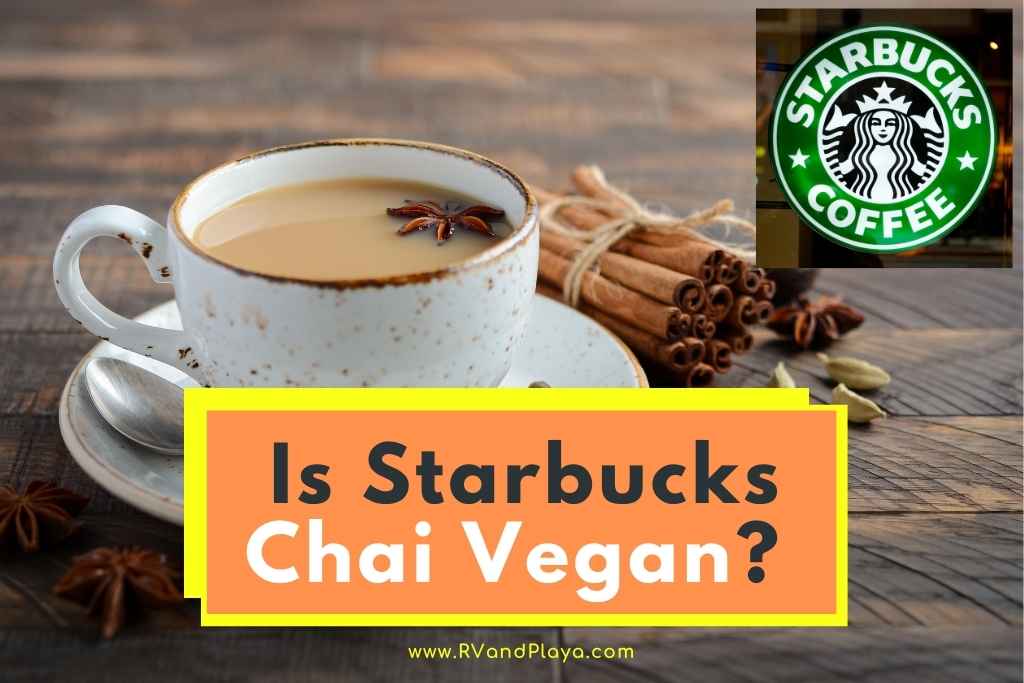 Is Starbucks Chai Vegan