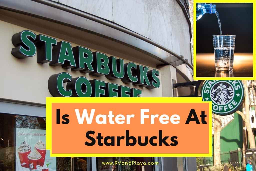 Is Water Free At Starbucks? (All You Need To Know!)