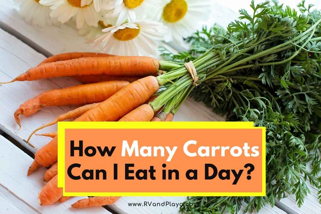how many carrots can i eat a day