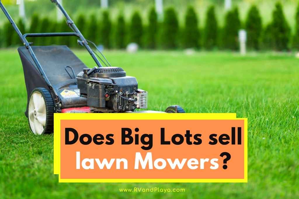 Does Big Lots sell lawn Mowers
