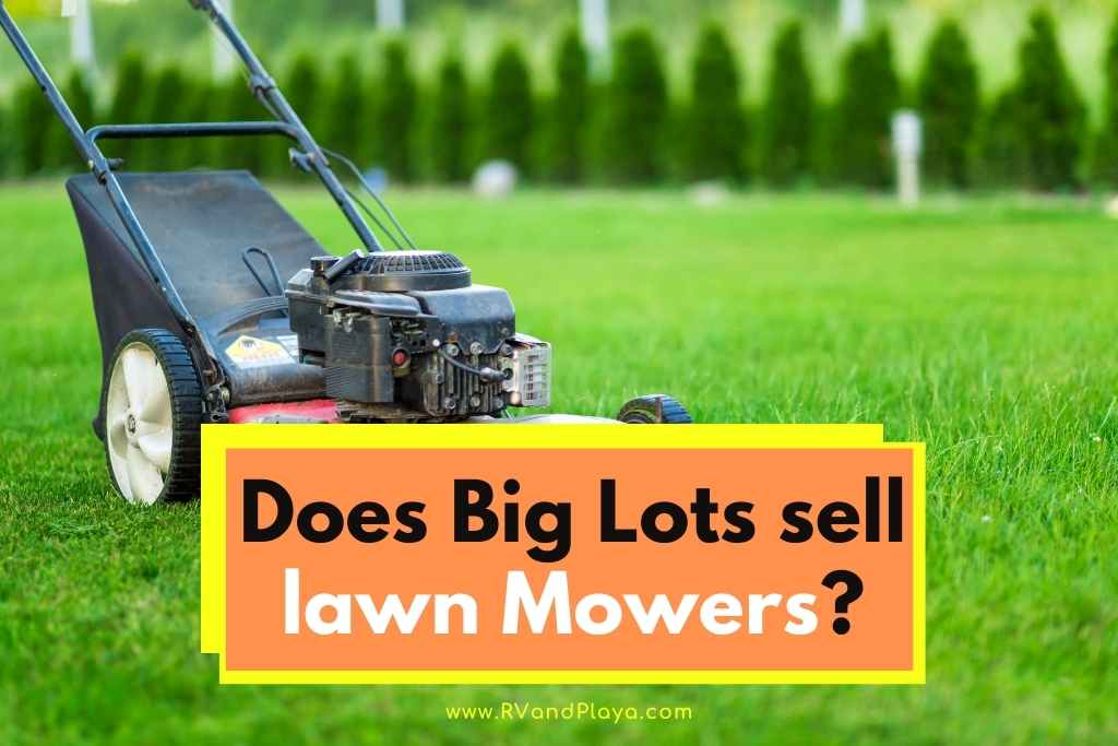 Does Big Lots Sell Lawn Mowers Are They Good 