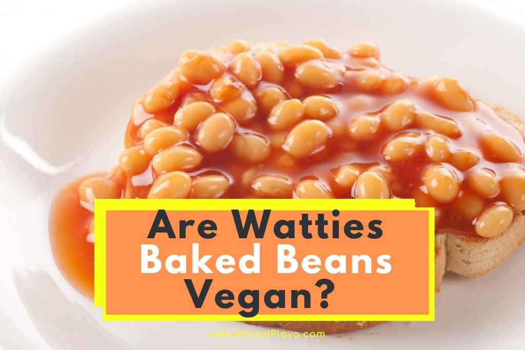 are watties baked beans vegan